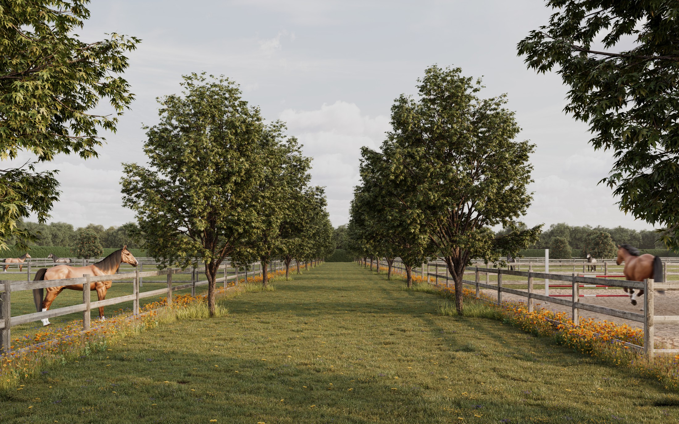 Authentieke paardenhoeve